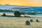 France, Provence. Hayfield sunrise near Sault Art Print